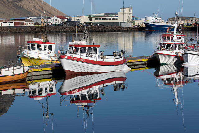 26543722012_a921b443fe_z