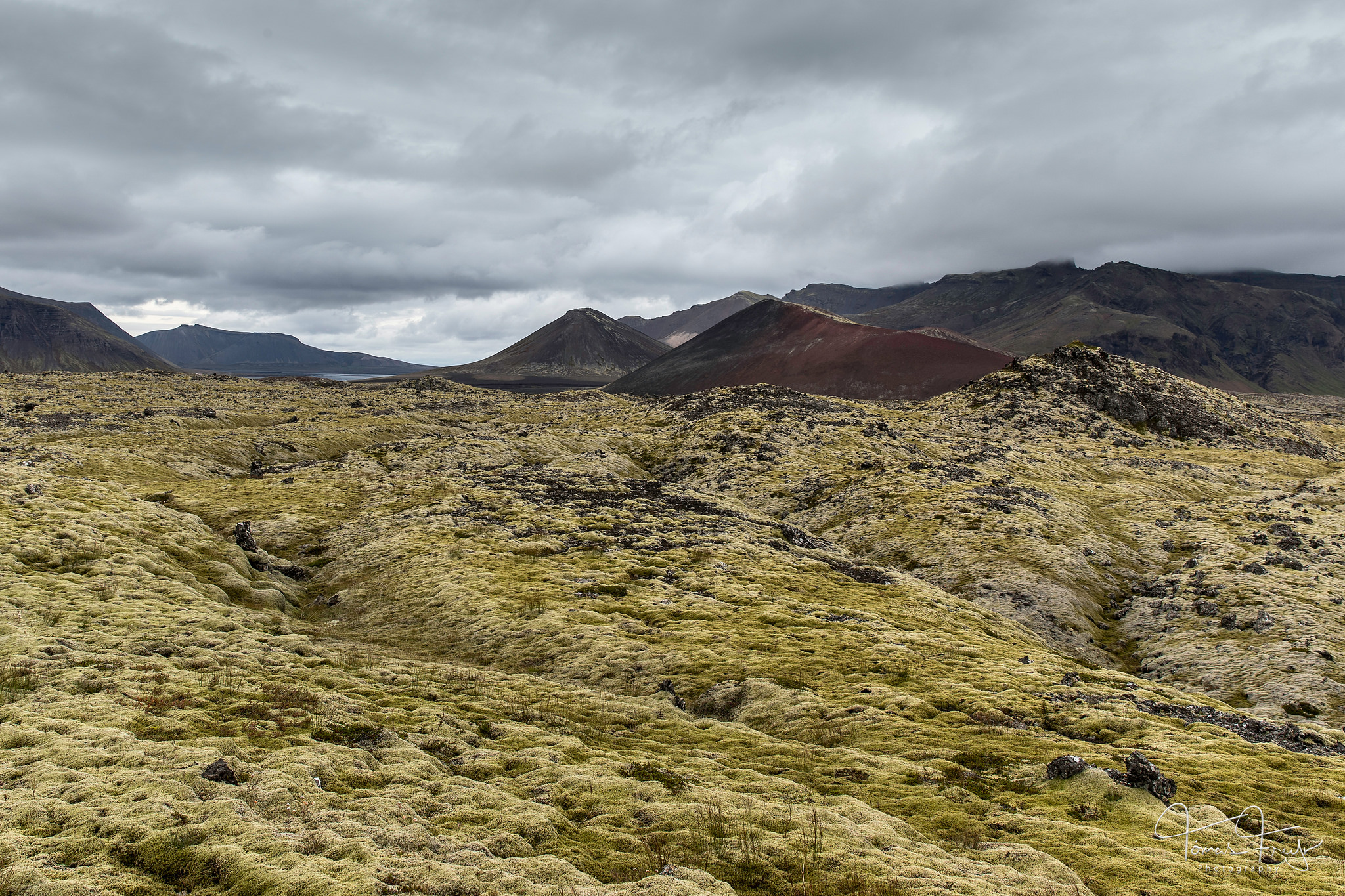 36776020190_b10f98f902_k