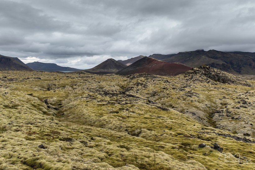 36776020190_b10f98f902_k